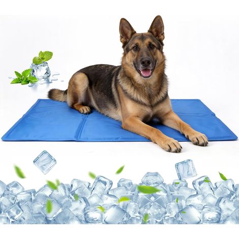 Kühlmatte für Hunde (90 x 50 cm), Auto-Kühlmatte mit Gel, verstärkten Kanten, faltbar, für Hundekorb, Sofa und Auto (1/5)
