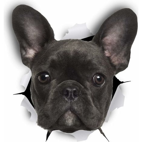 MINKUROW Pegatinas De Pared De Perro 3d - Paquete De 2 - Pegatinas Decorativas Divertidas - Calcomanías De Perro Bulldog Francés Negro Para Pared - Nevera - Baño - Habitación - Coche - Nevera (1/5)