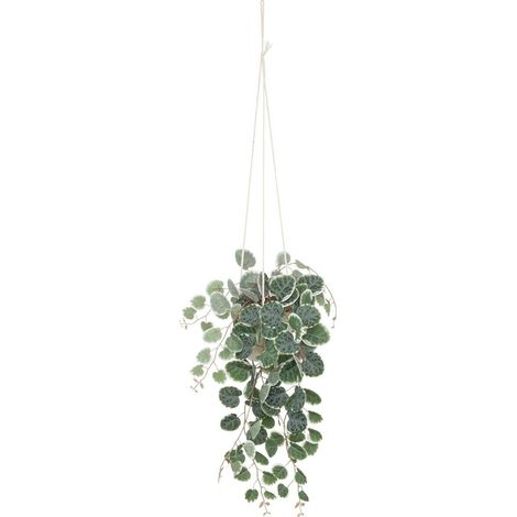 Planta artificial colgante Lour maceta de cemento - H80 cm - Atmosphera créateur d'intérieur (1/3)