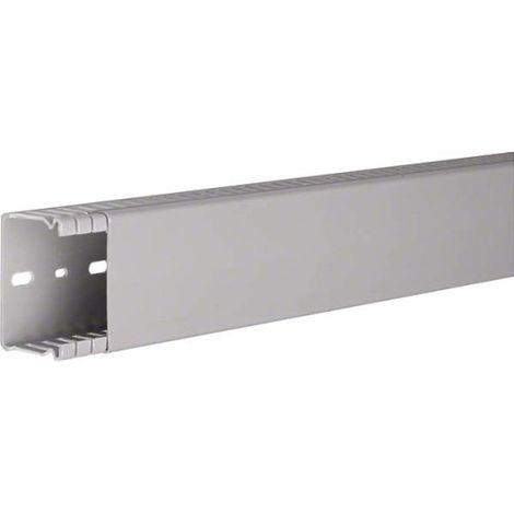 Tehalit Verdrahtungskanal BA6 40060B gr 2 Stk