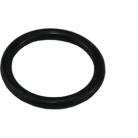 Recambio anillo 48,13x37,4 - ROCA