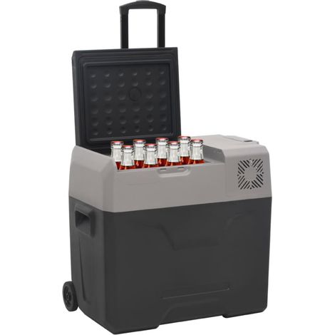 Glacière avec roue et adaptateur noir et gris 40L polypropylène