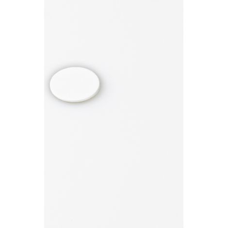 Magna-C Haftplatte selbstklebend Ø20x1mm (1/4)