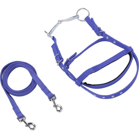 Rênes de bride en nylon élégantes et réglables pour chevaux, bleu L (pour chevaux d'une hauteur au garrot de 1,3 mètre et plus) (1/5)