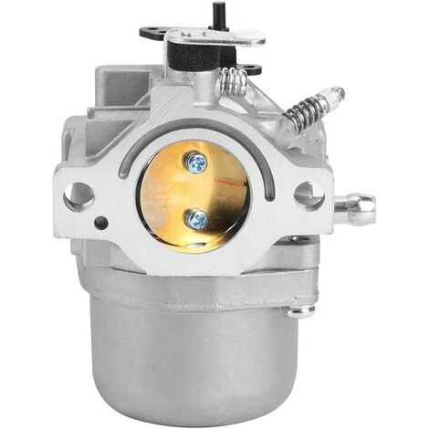 Kaelt - Accessoires de Jardin de Remplacement de carburateur adaptés pour Briggs Stratton 799728 498027 12 HP 12.5 HP (1/5)