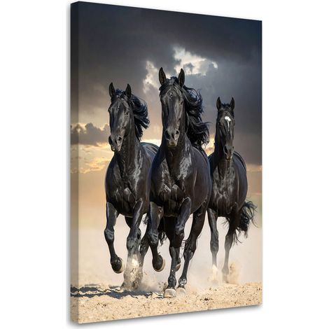 Tabelau sur Toile, Chevaux noirs galopant nature,20x30 (1/4)