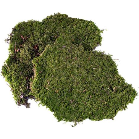 MUSCHIO NATURALE A TAPPETO 60GR (1/2)