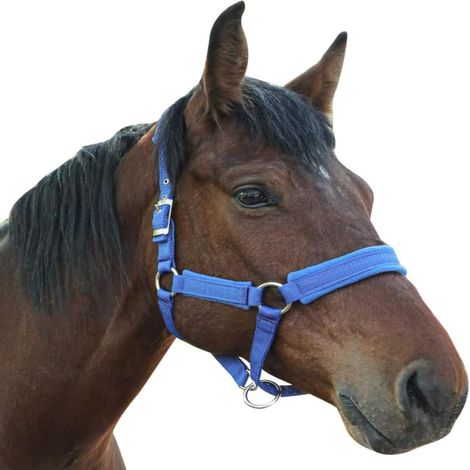 Licol réglable pour cheval avec doublure en polaire et polaire, corde, encolure de cheval avec bouclerie en satin, prévient les frottements, ajustement réglable, idéal pour les remorques et (1/5)