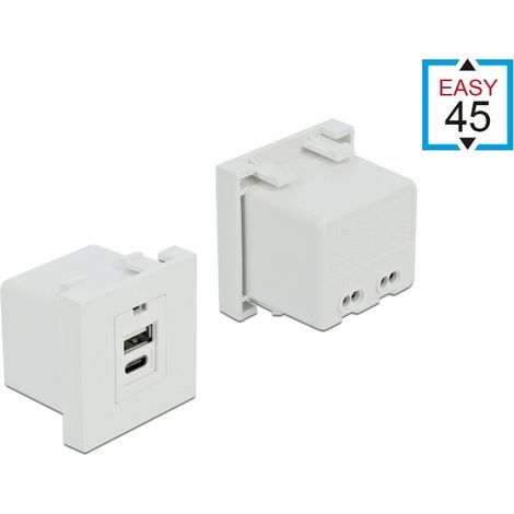 Delock Easy 45 MÃ³dulo del puerto de carga USB 1 x Tipo-A + 1 x USB Type-Câ¢