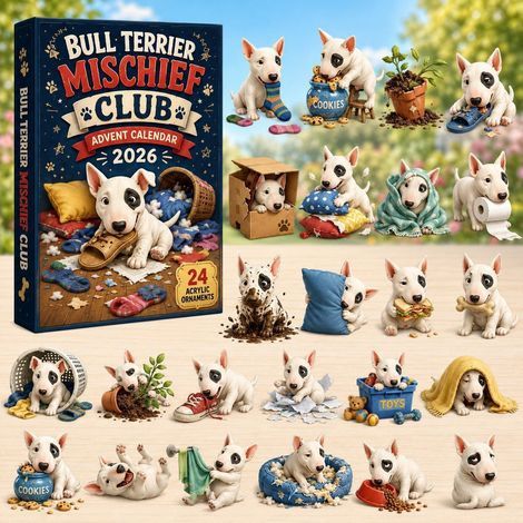 Bouledogue qui mord une chaussure calendrier avent 2026 2D