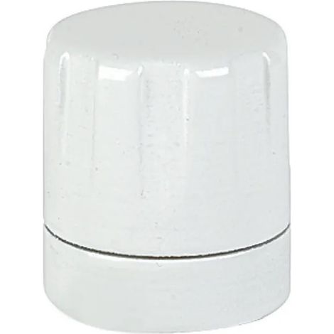TETE MANUELLE BLANCHE THERMOR 498040