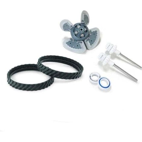 R0524900 Ricambio per robot piscina MX6/MX8 +C60 + cinghia + albero motore R0525100 (1/4)