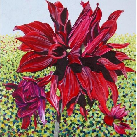 Schwarze Dahlie-Karte mit Umschlag