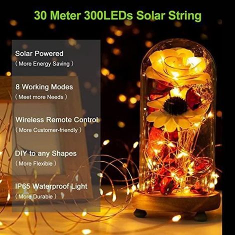 Guirlande lumineuse solaire extérieure - - 30M - 300 LED - Multicolore - 8 modes d'éclairage (1/4)