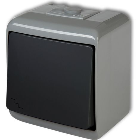 Interruptor de escalera Junior, gris/grafito IP54 30WHE-3