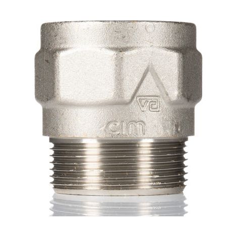 Clapet anti-retour en Laiton RS PRO, 2pouce, 16 bar ( Prix pour 1 )