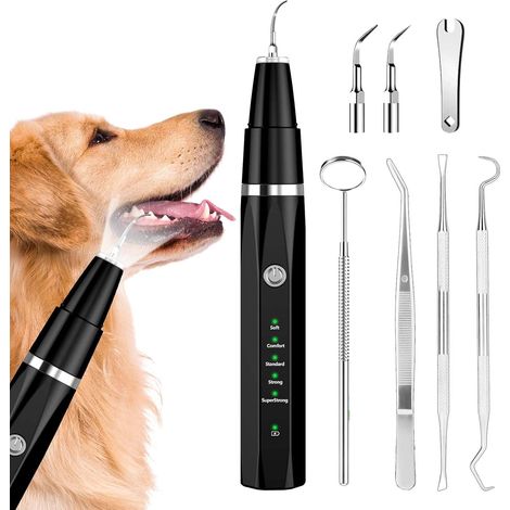Kit d'enlèvement de plaque dentaire, de nettoyage des dents à ultrasons pour animaux domestiques, de tartre et de taches, convient pour chiens et chats (Noir) (1/5)