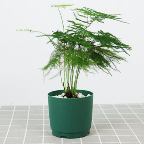 Pot De Fleurs - Arrosage Automatique - Double Couche PP PS - Respirant Anticorrosion - Pour Balcon Jardin Bureau - Taille M (1/4)