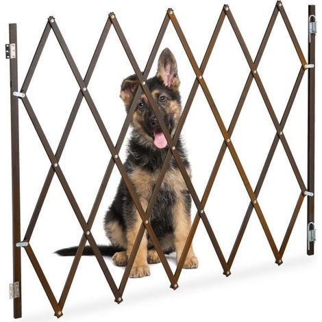 Protezione per cani estensibile in marrone (1/5)