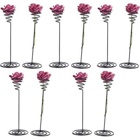 10 Porte-Tillandsias Design - Support Moderne pour Plantes Aériennes Décoratives (1/5)