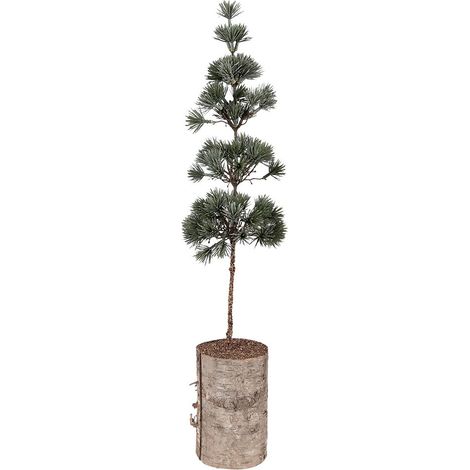 Mini Sapin de Noël Artificiel Décoratif à Suspendre en Bois Vert 14 x 14 x 60 cm - PANGIVO (1/4)