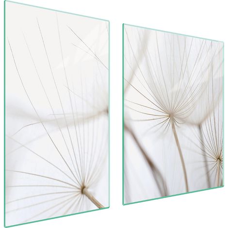 Glasplatte und Schneidebrett 100x52 Blume (1/5)