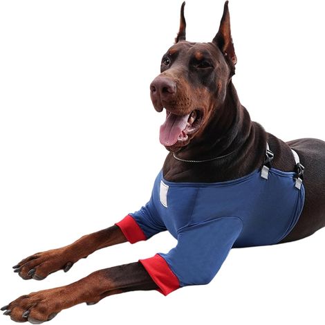 de Coude pour Chien Manchon de R cup ration Lavable Doux et (1/5)