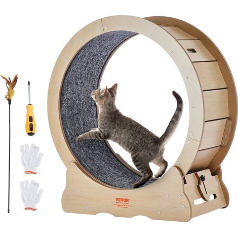 Roue d'Exercice pour Chat 750 mm Grande Roue de Course pour Chat d'Intérieur, avec Tapis Roulant Amovible, Teaser pour Chat pour Courir, Marcher, Entraînement, Convient à la Plupart des Chats (1/5)