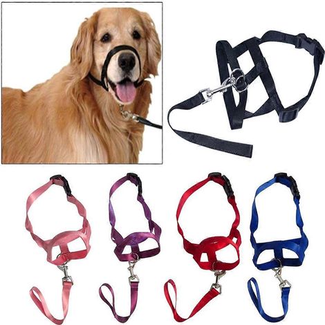 Muselière souple en nylon ventilée et élastique pour chien, protégeant la gueule des animaux de compagnie et empêchant les morsures - Taille M - Violet (1/4)