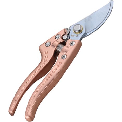 cisailles, outils de jardinage, sécateurs