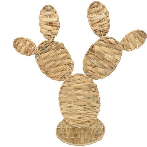 Signes Grimalt Planta Novedad  Cactus S Novedad Beige 20x50x50cm 39386