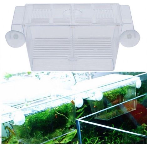 TrAdE Shop Traesio - Incubatrice Cassetta Per Acquario Per Allevamento Separa Pesci Proteggi Uova - (1/2)