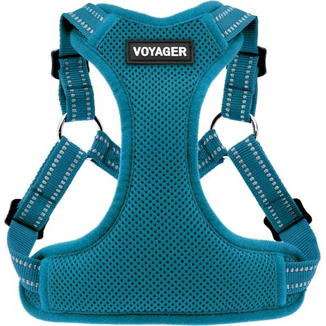 Voyager Verstellbares Hundegeschirr mit Reflektorstreifen by Best Pet Supplies - Strapazierfähige Ganzkörperweste ohne Zugkraft mit Leinen-D-Ring, atmungsaktiv, Türkis, size M