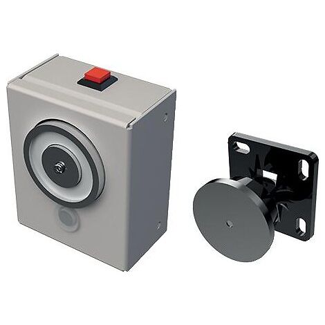 Sewosy – Fermeture de porte à ventouse coupe-feu – Déverrouillage manuel – Tension bi-tension 24-48 V cc – Maintien 40 DaN