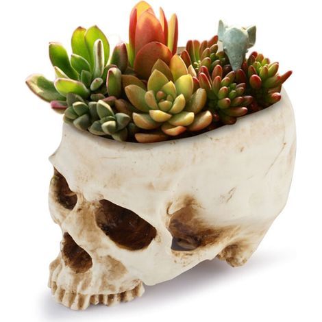 Décoration d'Halloween Tête de mort rétro Pot de fleurs Pot de fleurs Boîte de lit Décor de bar à la maison (1/5)