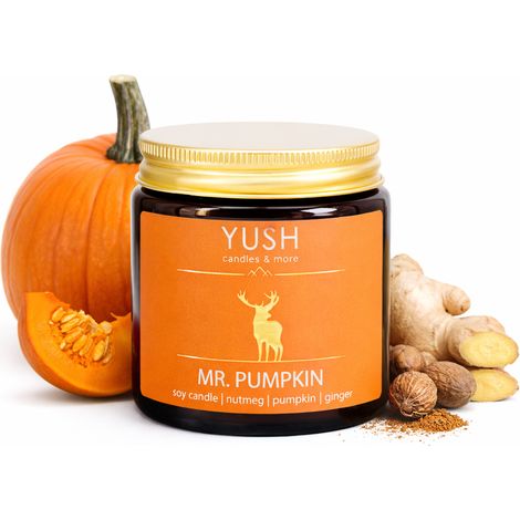 Mr. Pumpkin – Duftkerze aus Sojawachs mit Kürbisgewürz und Ingwer – lecker – 120 ml (1/5)