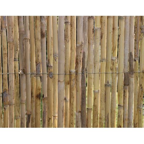 Canisse - NATURE - Roseaux fendus naturels Premium - 3 x 1 m (1/2)