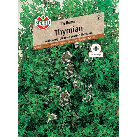 Sperli Thymian Di Roma