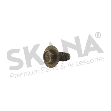 Tornillo MTD 710-05425