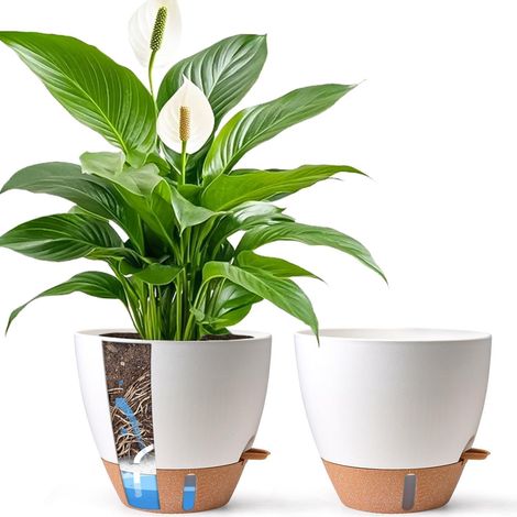Selbstbewässernder Blumentopf 30cm mit Wasserstandsanzeige, 2er Set, Weiß (1/5)