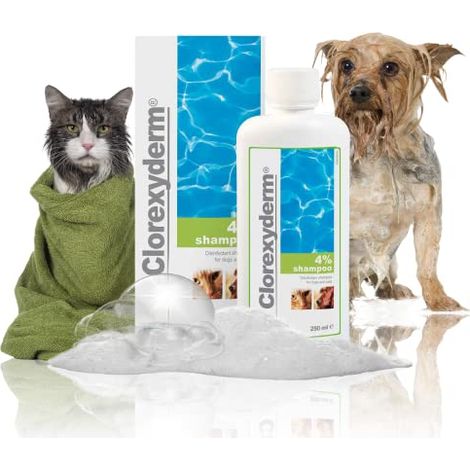 ICF Dog&Cat Clorexyderm Soluzione - Confezione 500 ml -