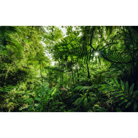 Papier peint panoramique naturel Dans la Jungle (1/4)