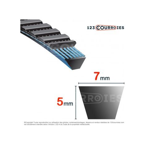 Courroie trapézoïdale polyuréthane Bando Banflex 7M2060