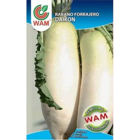 Semillas WAM de Rábano Forrajero DAIKON - Caja de 250 gr