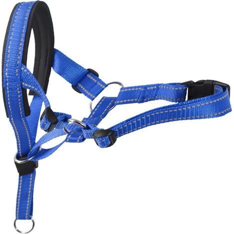 Museruola per animali domestici, 36-50 cm, blu (1/5)
