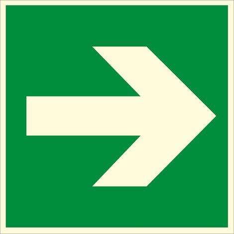Panneau photoluminescent Flèche verte - Rigide 200x200mm - 4030975