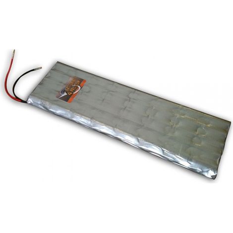 Exalium Premium – Kit batterie 48V pour sécateur – F3005 – Accessoire pour élagage – Compatible avec Infaco Electrocoup R4005 – Coupe précise en viticulture