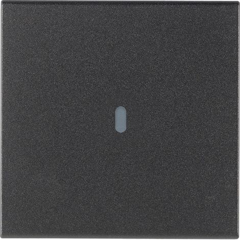 VIMAR - 19132.1 2M Axialknopf, grau