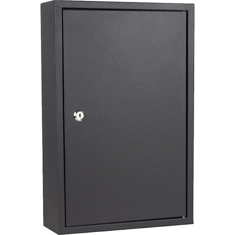 Porte-clés mural à 48 emplacements avec étiquettes porte-clés, boîte de rangement sécurisée pour clés, convient aux services de voiturier, aux hôtels, aux voitures et aux clés de maison. (1/5)