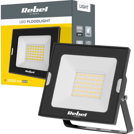 Foco LED halógeno de 30 W, 4000 K, IP65, Rebel (1/4)